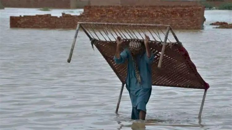 Pkistan Flood: পাকিস্তানে বন্যায় মৃত ৯৩৭, দেশে জরুরি অবস্থা জারি